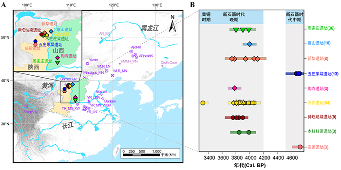 石峁古城人群从哪来？殉葬制度有何玄机？最新古DNA研究给出答案