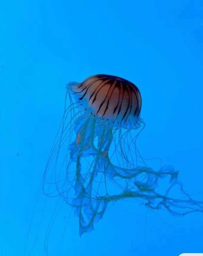 69396764d27c6.jpg 69396764d27c6.jpg