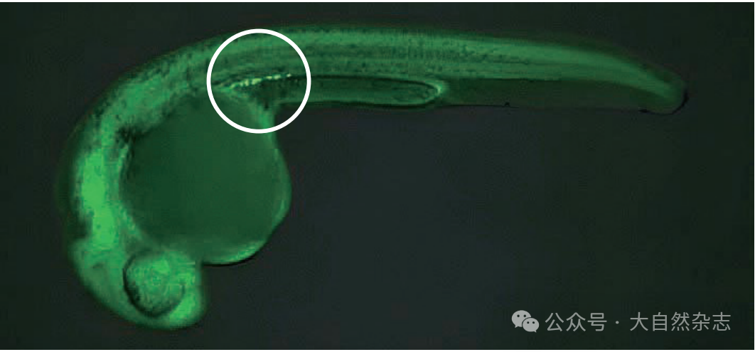 696a337cd6f58.png 696a337cd6f58.png