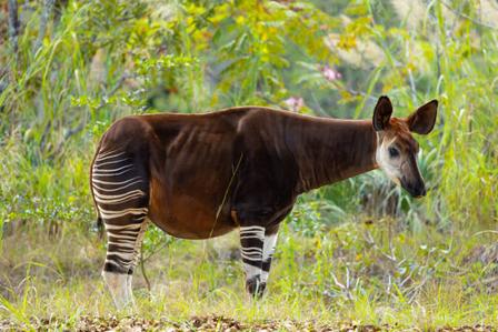 696a3dda00dd2.jpg 696a3dda00dd2.jpg