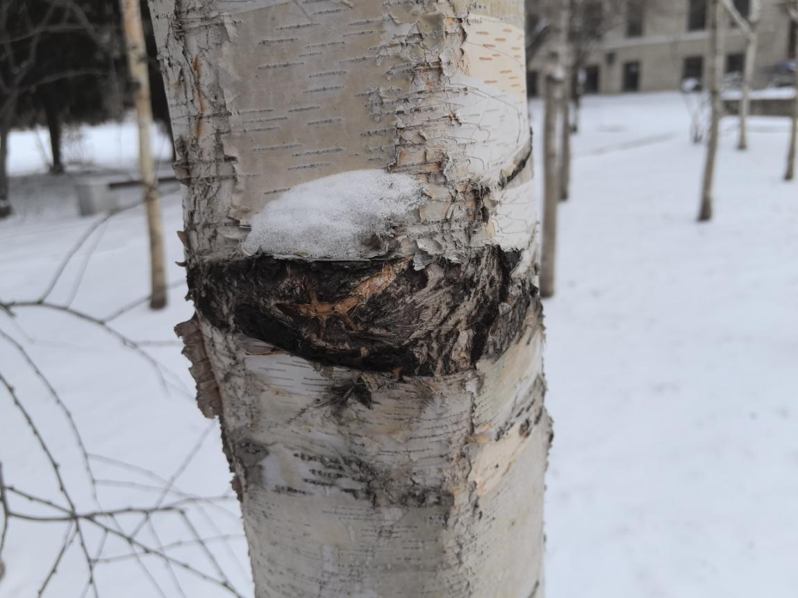 699d4226017e1.png 699d4226017e1.png