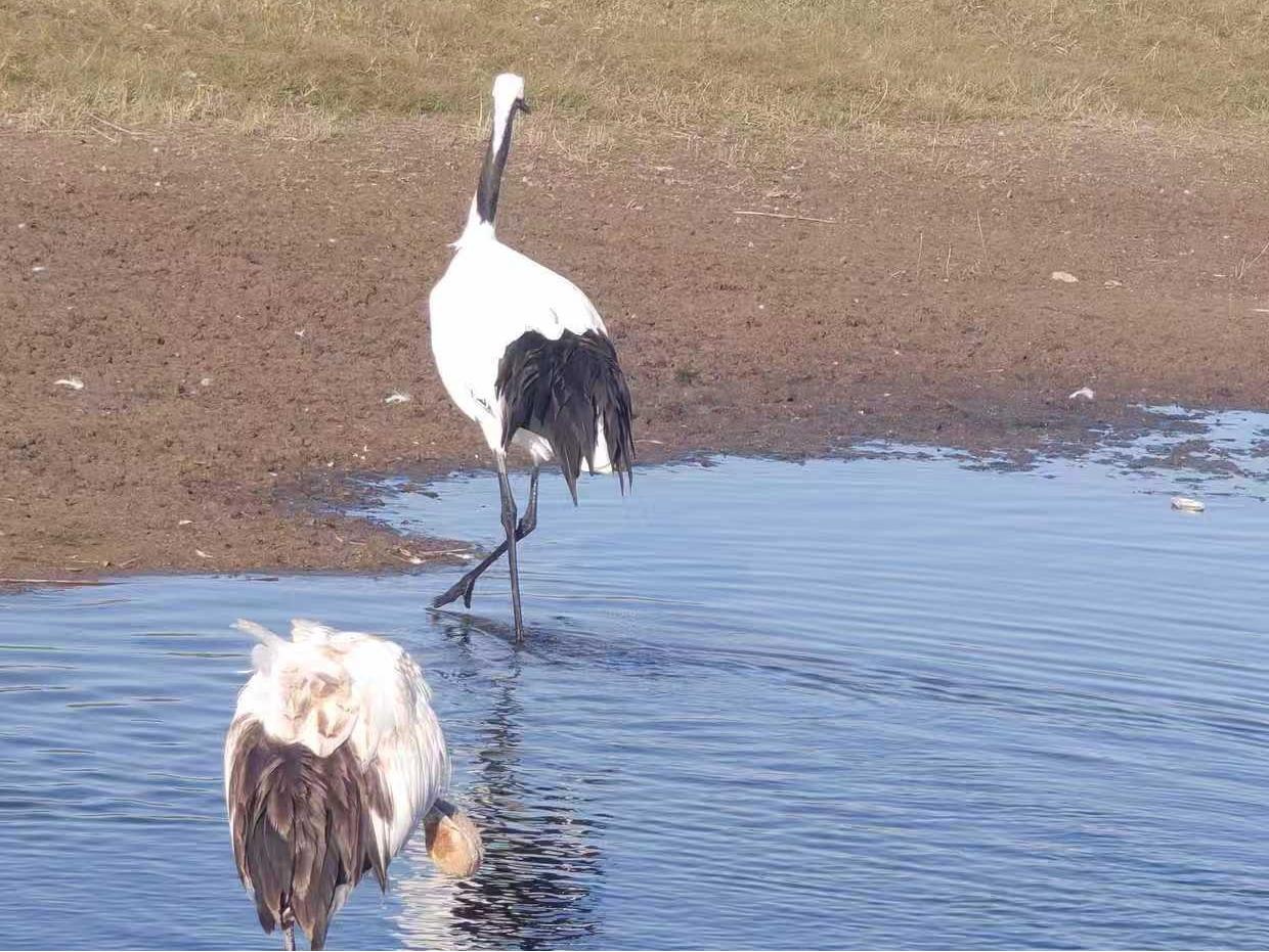 699d43014f6c5.png 699d43014f6c5.png