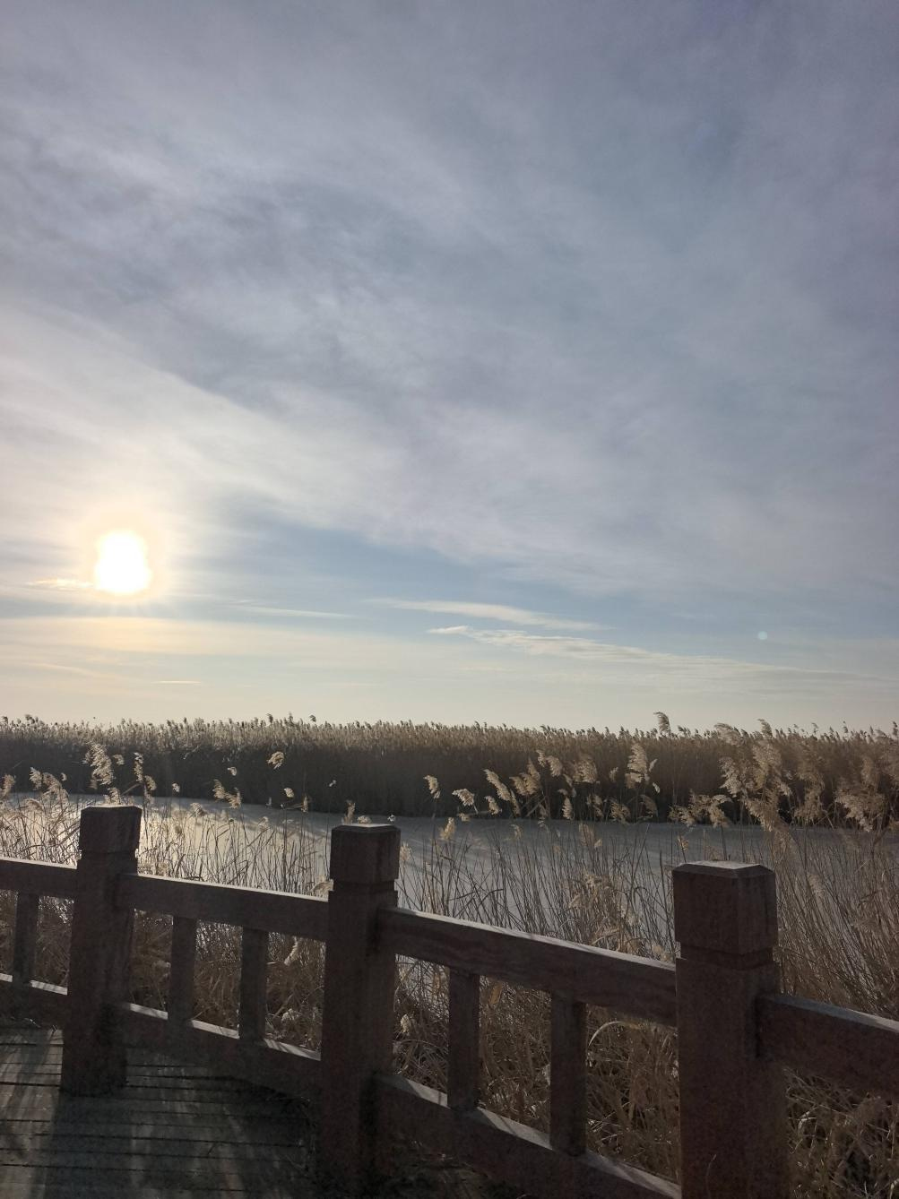 699d4738afb13.png 699d4738afb13.png