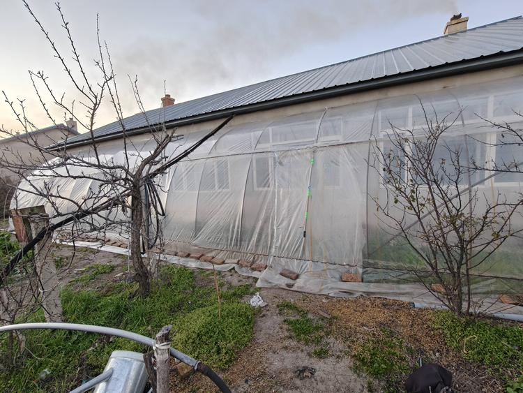 699d860187666.png 699d860187666.png