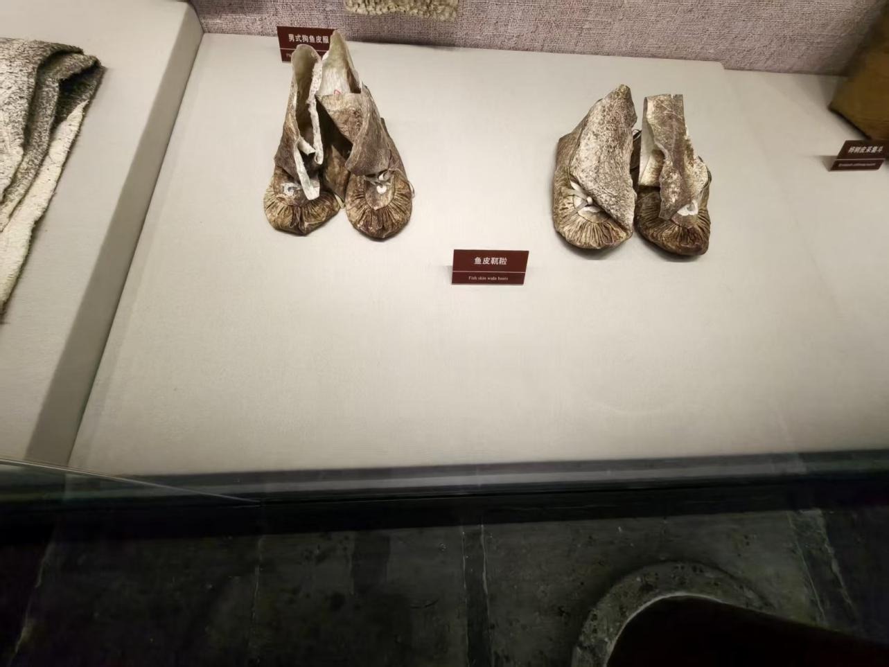 699e4e558c029.png 699e4e558c029.png