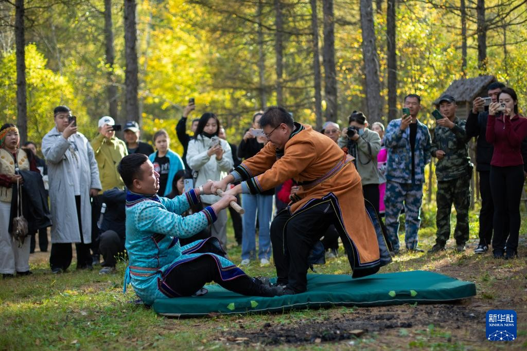 699e5562eee56.png 699e5562eee56.png