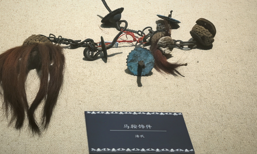 699ea96cf20af.png 699ea96cf20af.png