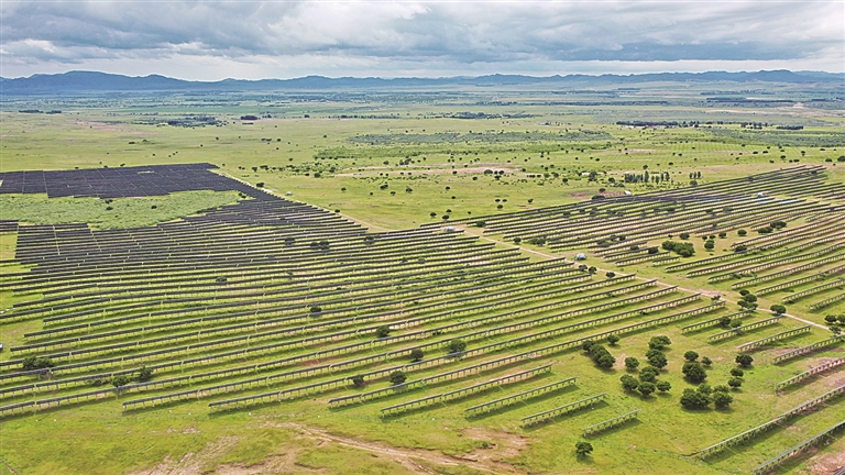 法护绿水青山 绘就美丽中国新画卷