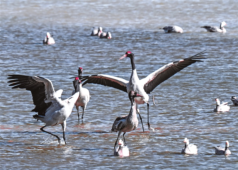 法护绿水青山 绘就美丽中国新画卷